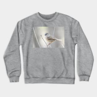 Sparrow Crewneck Sweatshirt